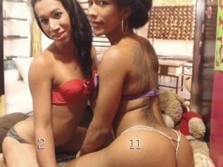 2TShorny11inch