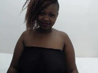 AFRICANDAISY