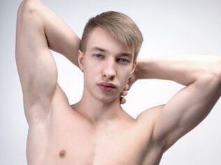 ApollonFox