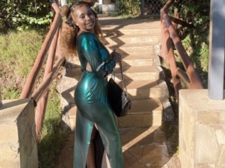 Anelesiha