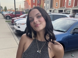 Angelinacomb
