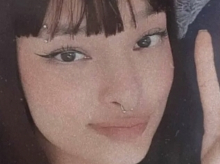 Aurorapalmer