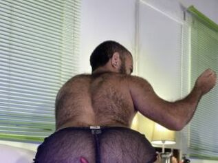 Bearteddy