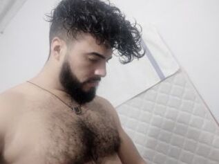Bear_k