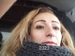 Cat2323