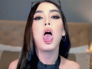 Calistaarabella
