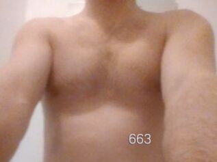 Damss663