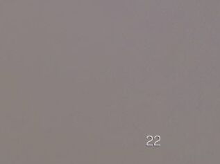 HootBoy22