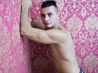 HugeHotStallion