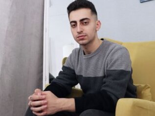 Hamarielaws