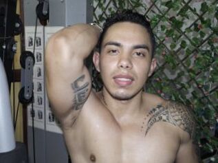 Hanselmuscle