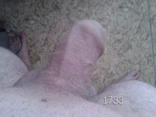 Hornydan1733