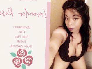 Lavender_Rose