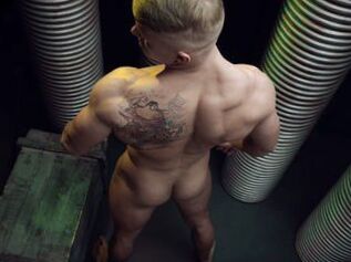 Magnificentstud