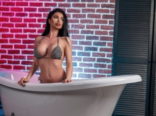 Metisha