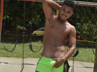 Mulatto_hunky_breaker