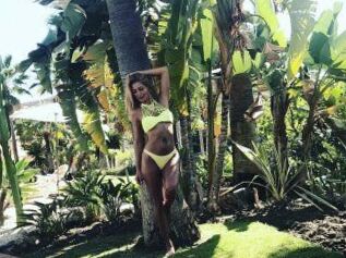 SelenaDice