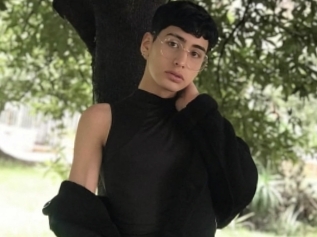 Santifoxs