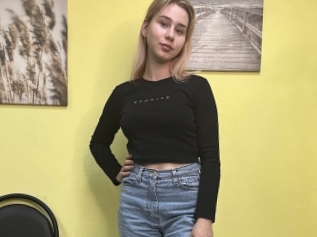 Sibleyarnet