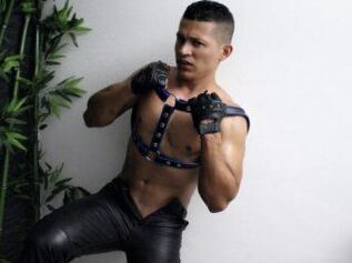 Sirforsissyslave