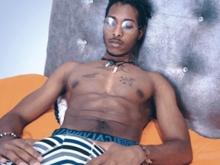 Stevens_collins