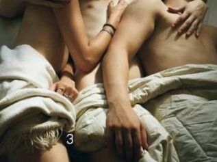 The_3_musketeers