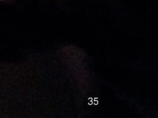 Tom35