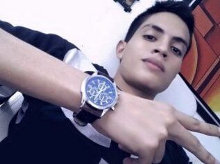 Vegetassjblue
