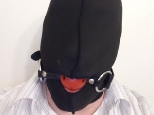 WyldePet