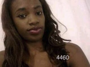 XXFOXXY4460